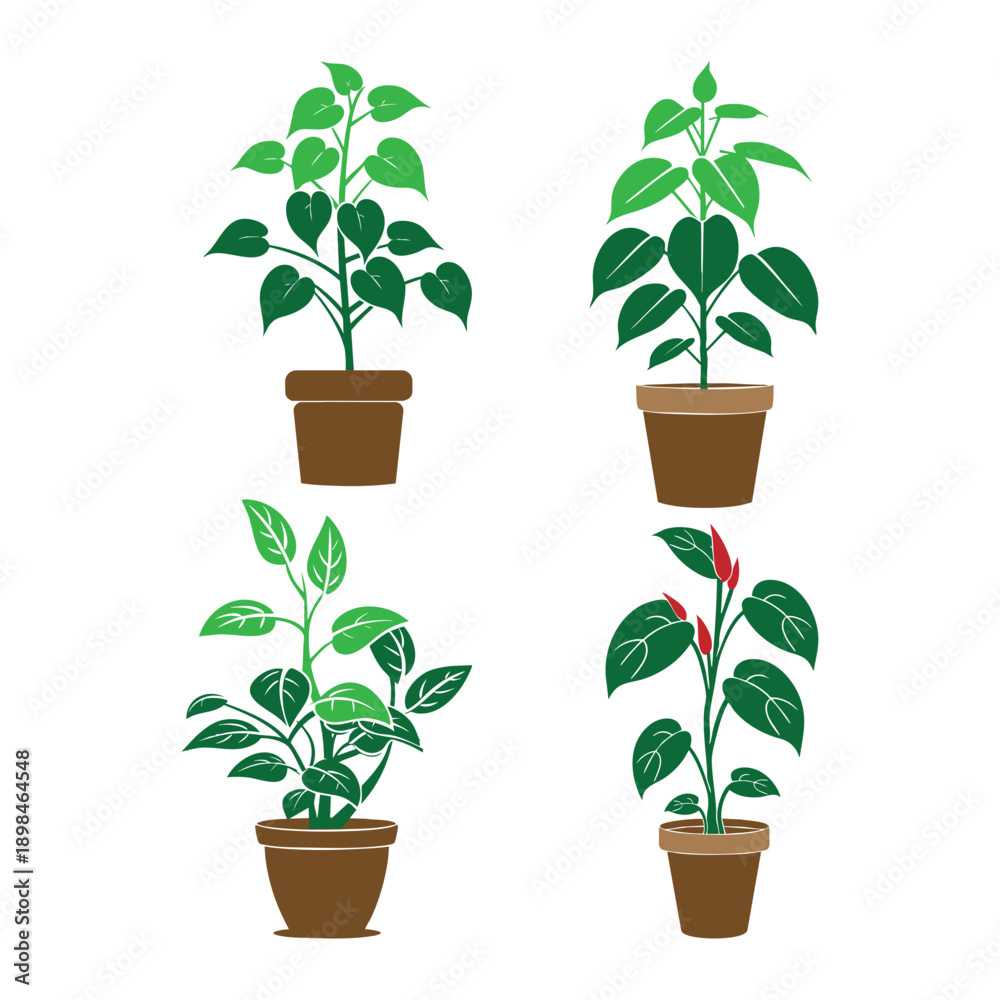 Obraz premium Potted Plant vector Illustration 