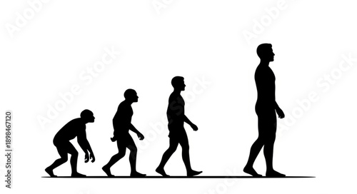 Human Evolution Silhouette Progression From Ape To Man.