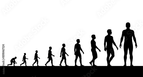 Human Evolution Silhouette Progression From Ape to Man.