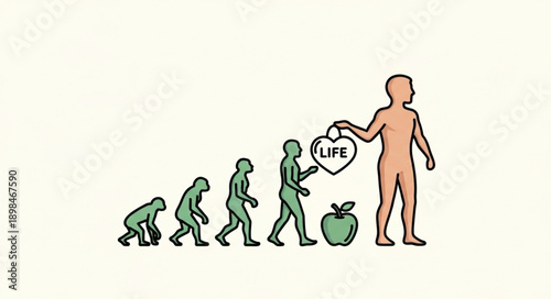 Human Evolution Life Cycle Progression.