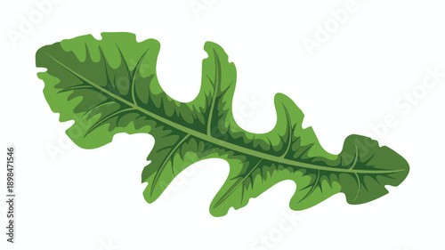 A vibrant green leaf with wavy edges and prominent veins
