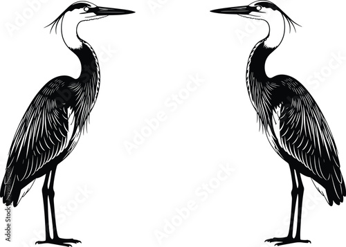 Black and white heron bird silhouette illustration showing two standing water birds facing each other, elegant wildlife art, minimalist nature design for decoration and creative projects