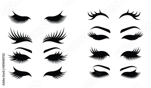 Assortment of Black Silhouette Eyelashes and Eyebrows on White Background whisk