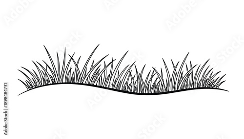 Vector illustration of black and white grass patch with natural blades growing on curved surface in minimalist line drawing style