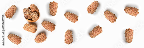 Cedar cones in wooden plate . Healthy food and diet food. Banner.