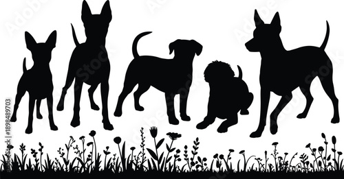 Dog silhouette set, different breeds standing poses, pet animal collection, black canine illustration with grass meadow design