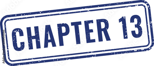 Professional blue chapter thirteen rubber stamp seal for organizing book chapters and administrative school document files