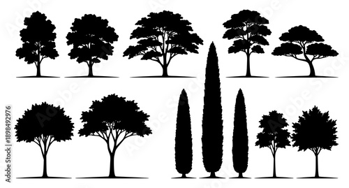 Beautiful tree silhouette vector collection on white background