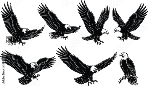 Bald eagle silhouette collection, flying bird vector set, american mascot symbol, hawk landing, wildlife nature illustration, isolated white background, predator wings design art.