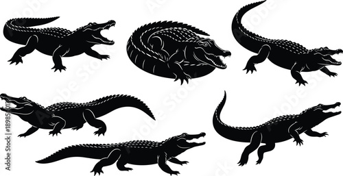 Six black silhouette alligators in various poses on white background crocodile reptile