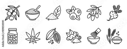 Set of superfood line art icons including acai, maca, moringa, goji berries, cacao, ginger, and matcha, illustrating healthy natural ingredients in a simple doodle style collection