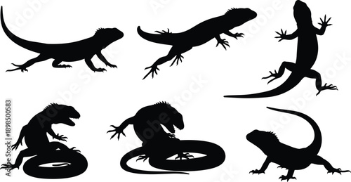 Six black silhouette iguanas in various poses on white background lizard reptile