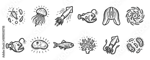 Set of hand-drawn deep sea creature icons including anglerfish, squid, jellyfish, plankton, and coral in a black and white doodle sketch style illustration collection