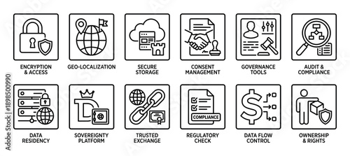 Twelve black outline vector icons illustrating data management concepts including security, privacy, compliance, governance, encryption, audit, and consent in a clean infographic style
