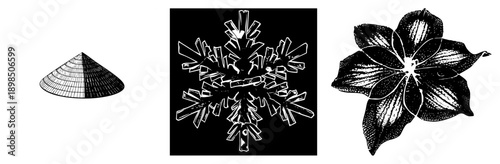 Three vector graphics conical shape with grid, intricate snowflake crystal, and stylized flower petal. halftone and styles. Isolated foreground elements.