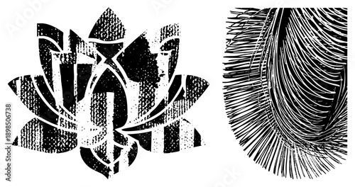 Stylized lotus flower with halftone texture, abstract feather swirl, graphic art, vector design, illustration, artistic, decorative motif.