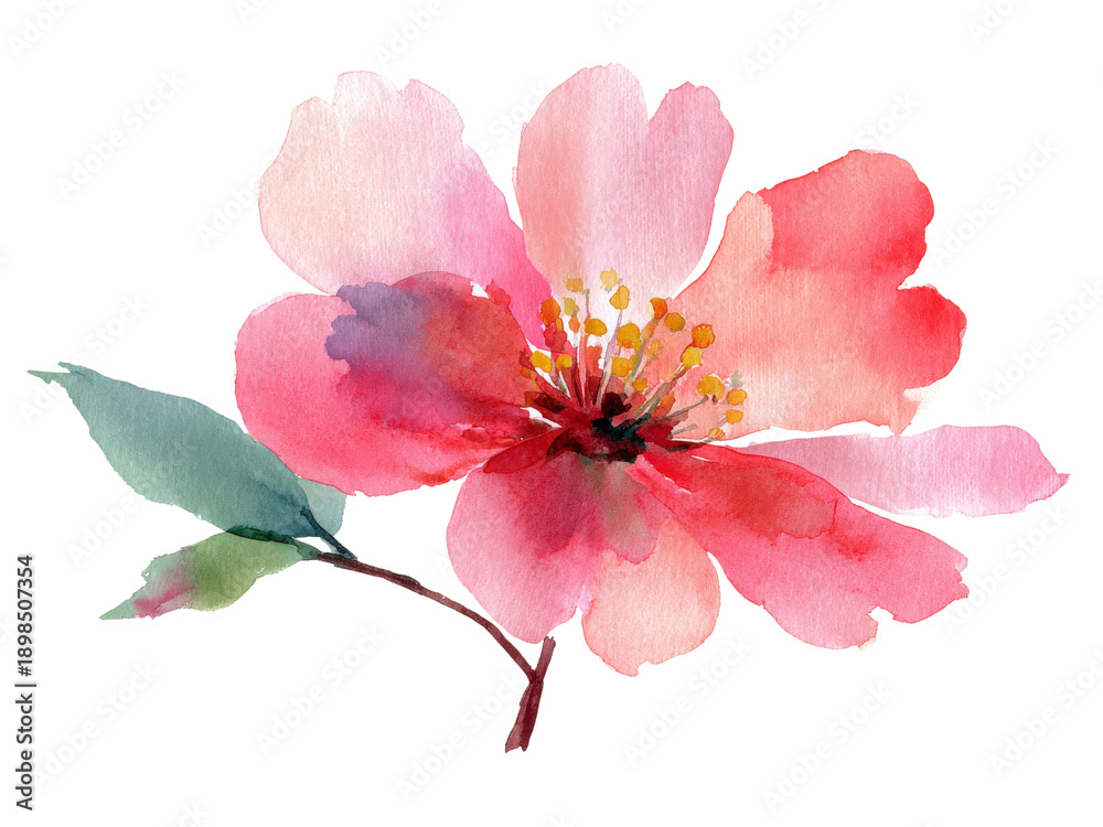 Naklejka premium Watercolor Floral Delight: A delicate watercolor painting presents a vibrant, blossoming flower, showcasing soft hues and intricate details that embody the essence of springtime.
