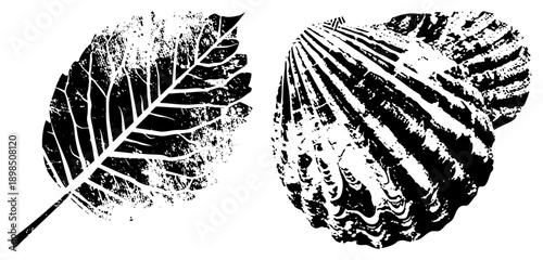 Black and white vector leaf and with distressed texture, nature motifs, graphic design elements, halftone inspired, organic shapes.