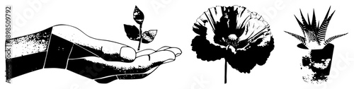 Black and white vector illustration of hand holding sprout, poppy bloom, and potted succulent, halftone texture, botanical theme, minimalist design.