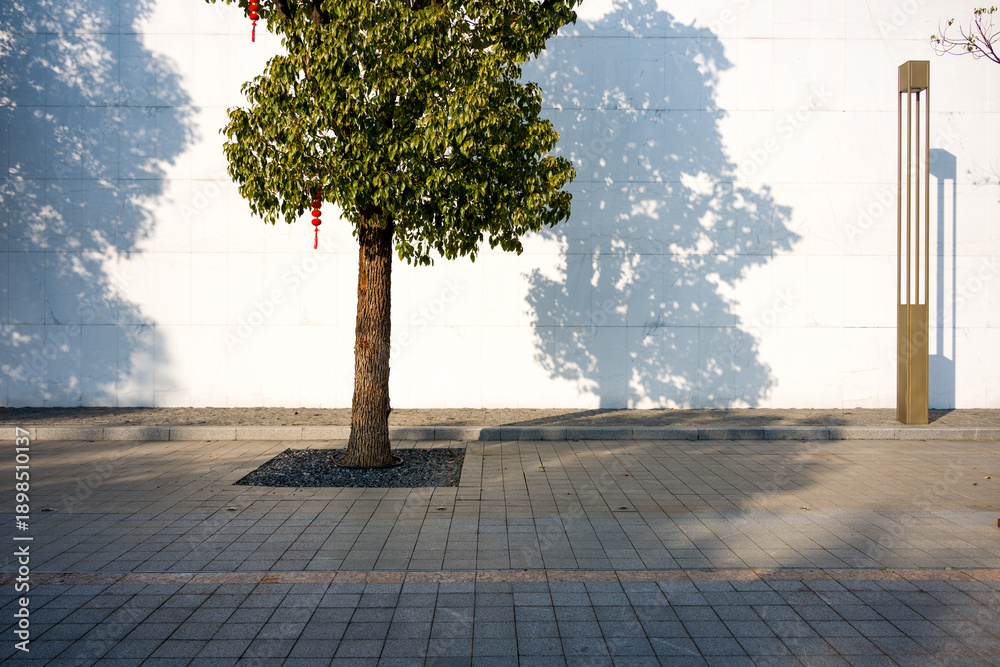 Obraz premium Tree with red ornaments beside white wall