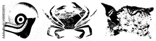 Stylized marine life symbols with halftone texture, vector cutouts, oceanic motifs, isolated graphics, nautical design elements.