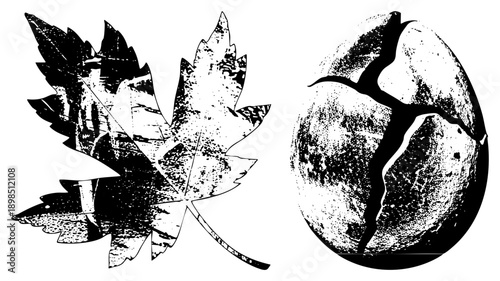 Black and white halftone graphic of cracked egg and maple leaf, vector art, isolated nature symbols, rustic texture, seasonal design elements.