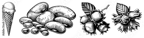 Classic ice cream cone with drips, assorted beans, hazelnuts in, engraved art, food, retro botanical design.