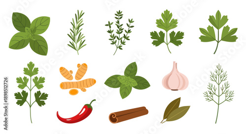 Fresh herbs and spices collection