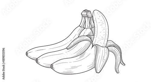 A detailed black and white sketch of a bunch of ripe bananas, with one banana partially peeled.