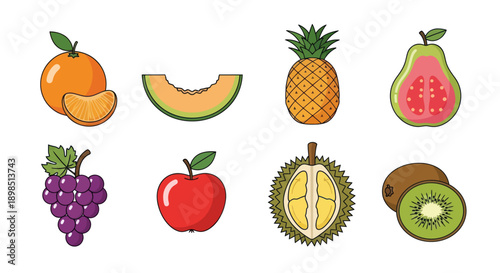 Fresh vegetables and fruits illustration