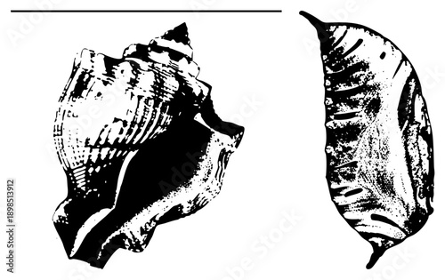 Stylized illustrations rendered in halftone dot, marine life motifs, oceanic decor, beach art, vector graphic design.