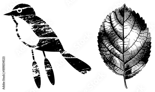 Graphic design featuring a bird silhouette and detailed leaf, both rendered in with distressed texture, ideal for eco themed or nature inspired projects.