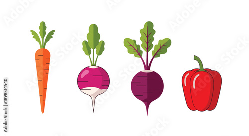 Set of fresh farm vegetables including a carrot, two types of radish, and a red bell pepper, promoting healthy eating and cooking.