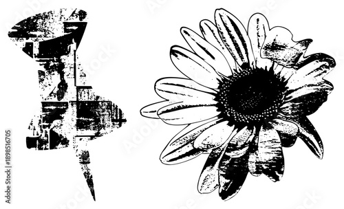 Black and white halftone sunflower illustration, abstract ink blot art, botanical vector graphic, artistic art, textured design, botanical print, graphic art piece.