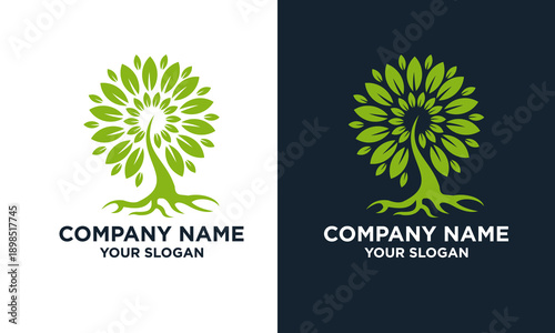 Tree logo template designs on contrasting backgrounds showcasing company branding elements
