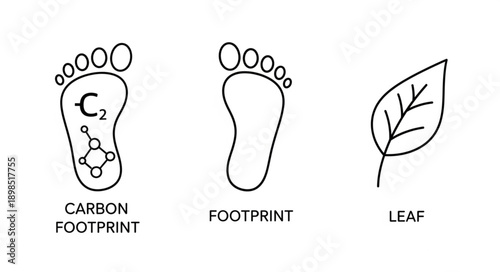 Carbon Footprint Symbol with Leaf and Footprint Illustration.