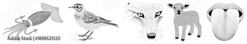 Squid, bird, fox, lamb, tongue rendered in halftone dot, vector graphic, isolated foreground, black and white, stylized animal anatomy.