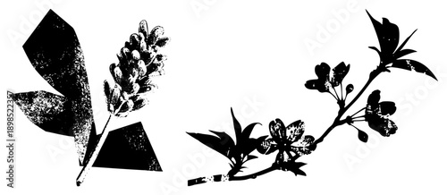 Graphic vector illustration of lavender sprig and cherry blossom branch, silhouette, textured halftone effect, botanical art, isolated plant elements.