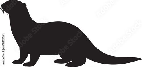 Vector design illustration with various colors and fonts