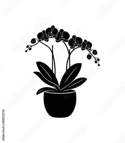 Minimalist Orchid Plant in Black Silhouette Vector Art