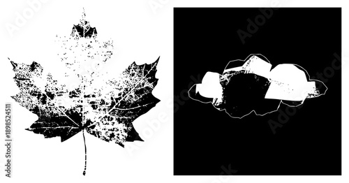 Vector graphic of maple leaf and cloud shapes, halftone dot, black and white, isolated foreground, graphic design element, nature motif.