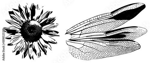 Stylized sunflower with radiating petals and detailed insect wings, vector art, graphic design, nature motifs, botanical illustration, halftone texture, isolated elements.