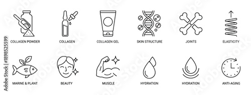 Set of thin line icons illustrating collagen benefits, including powder, gel, skin structure, joint health, elasticity, beauty, muscle growth, hydration, and anti-aging effects
