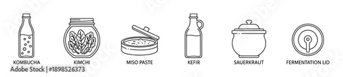 Set of six fermented food icons showing kombucha, kimchi, miso paste, kefir, sauerkraut, and a fermentation lid in a clean black and white line art vector illustration