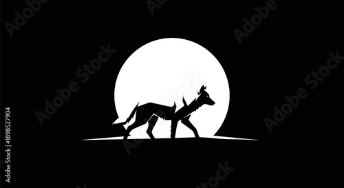 Adobe Illustrator Artwork