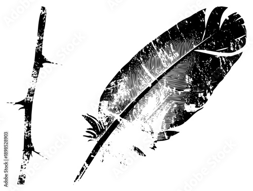 Hand drawn quill pen with textured feather, rustic thistle stem, vintage illustration, ink writing tool, artistic calligraphy instrument.