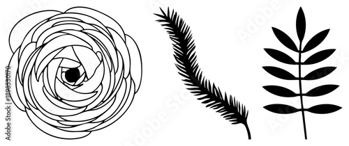 Black botanical illustrations including a layered rose, feathered frond, and compound leaf, minimalist vector art, isolated foreground elements.