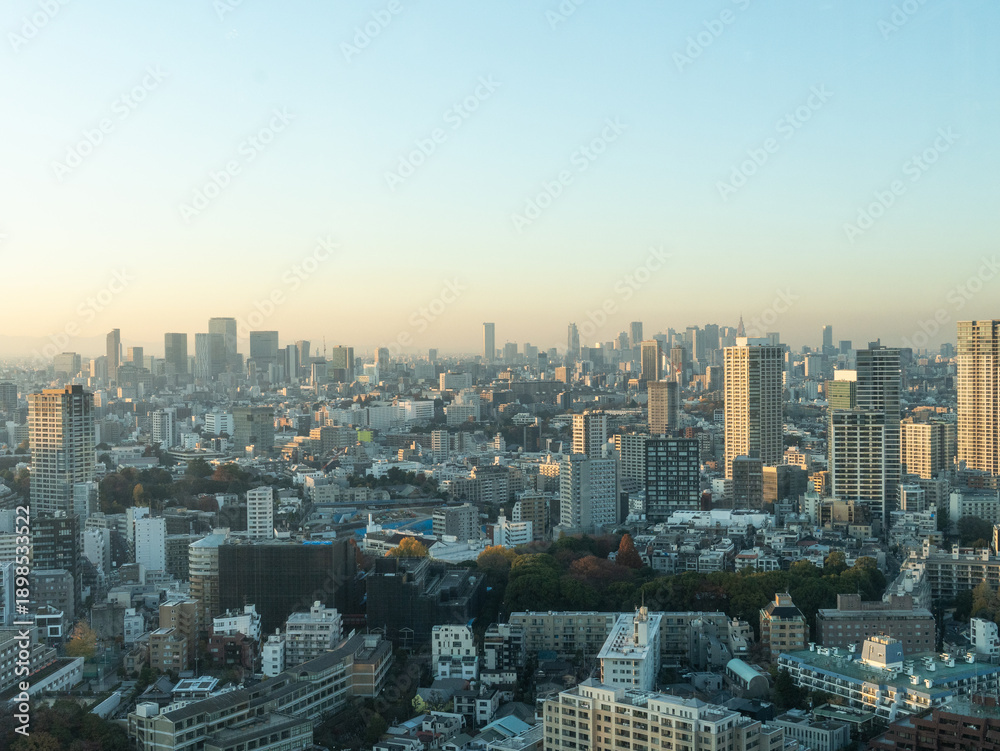 Obraz premium Mount Fuji at Sunset Seen from Tokyo Skyscraper Observation Deck, Tokyo, Japan, 2025