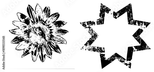 Hand drawn sunflower and star graphic with gritty ink texture, vector art, rustic and geometric design, isolated elements for branding or.