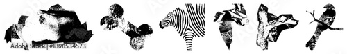 Abstract animal forms rendered in fragmented halftone, stylized wildlife, graphic design elements, vector art, black and white composition, isolated animal motifs.